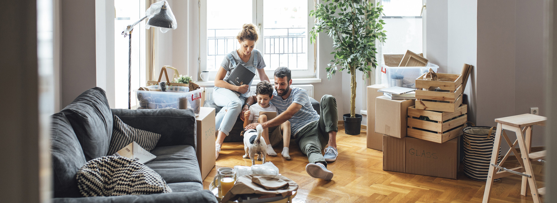 RAPID'SERVICES à Rodez, membre du réseau expert Vachette